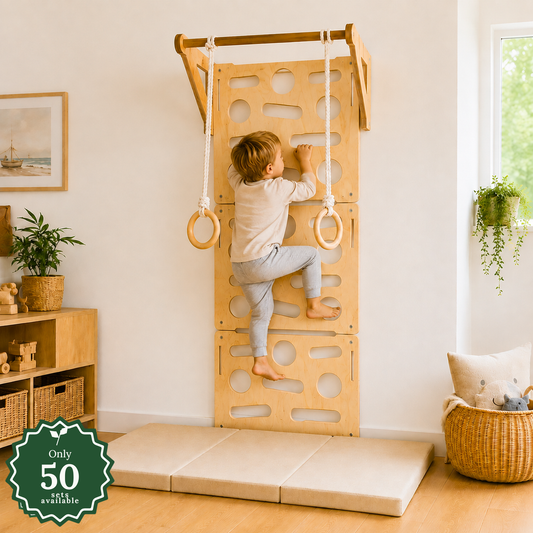 Movana™ Montessori Indoor Climbing Frame Set